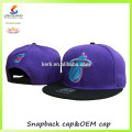 Outdoor sports flat caps Bboy fashion dresses baseball hats snapback caps custom